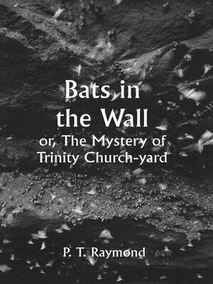 cover image of Bats In the Wall